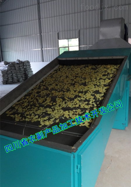 小型糖姜片設備軟件開發助力四川農副產品加工升級