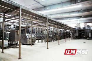 優氏乳業 以“寧鄉智造”技術服務，助力國家學生飲用奶計劃，引領健康食品產業創新